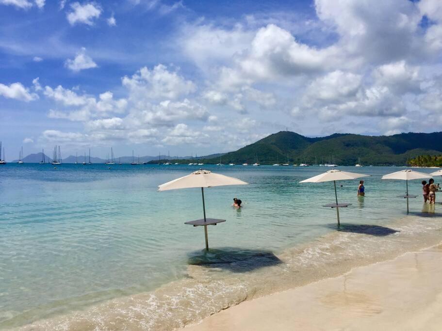 Appartement Hamo Tropical Piscine Proche Plage à Sainte-Anne Extérieur photo