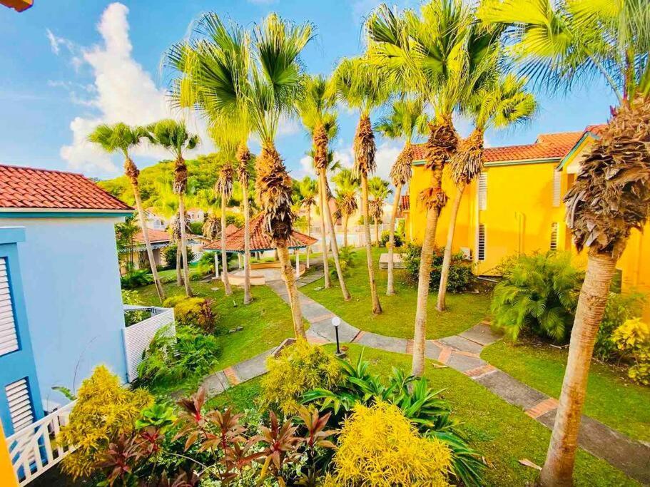 Appartement Hamo Tropical Piscine Proche Plage à Sainte-Anne Extérieur photo