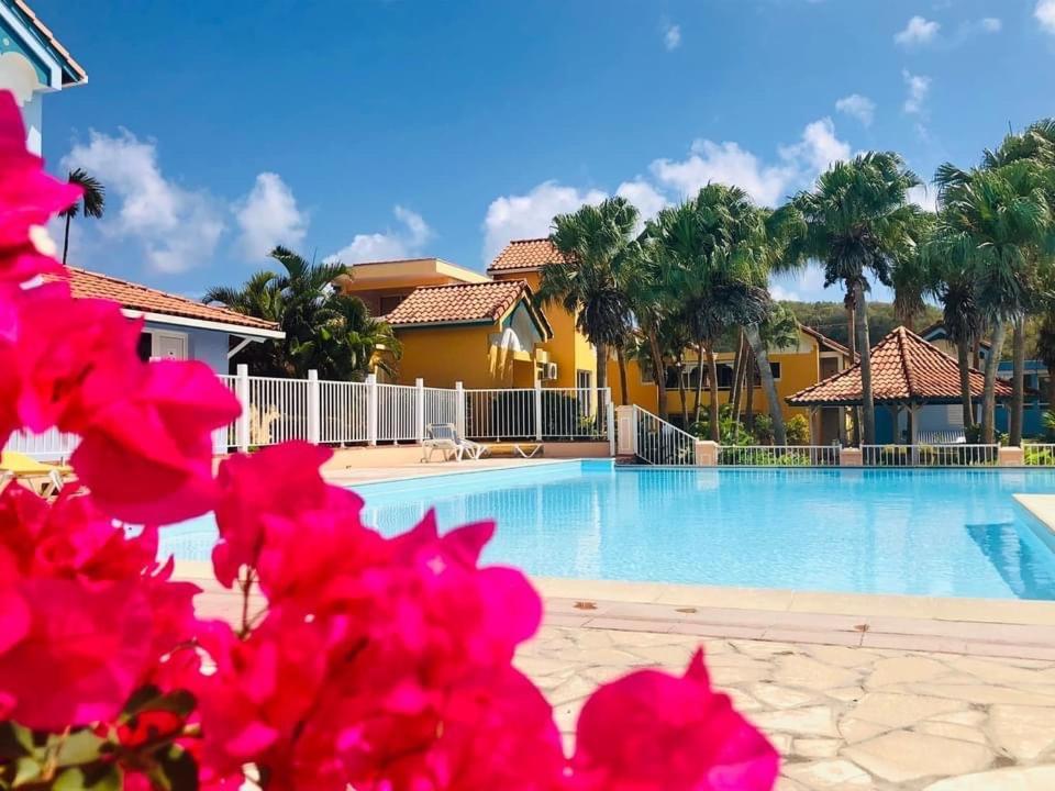 Appartement Hamo Tropical Piscine Proche Plage à Sainte-Anne Extérieur photo